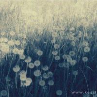 关于幸福的完美诠释