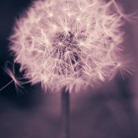 最搞笑的笑话-搞笑糗事寻常有