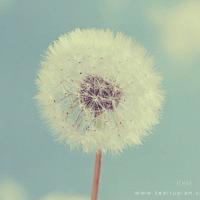 母爱的分寸-四多四少