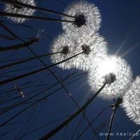 旅行治愈系文字图片