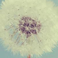 100句精彩的励志人生格言