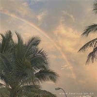 经典文章 人生感悟