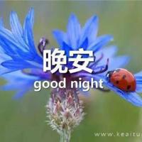 你的:世上唯有一个你 叫我如何不爱?