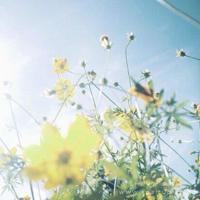 给二女儿的一封信