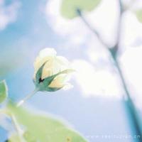 一个人难过伤感的心情说说语录:一个人孤独下去,大概是最好的选择