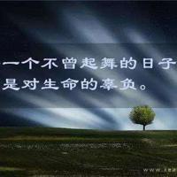 互联网竞争的利器就是快。雷军语录