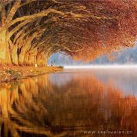 感怀心思，叙说真情（诗歌）