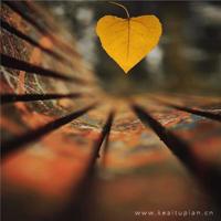 被分手的说说心情短语伤感难过的句子大全