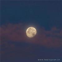 正能量励志向上的经典语录句子