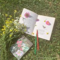 朝花夕拾好句摘抄赏析