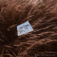 高中生励志美文摘抄3篇