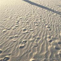 人生何谓是平常，生活最难是毅力