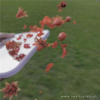 一杯琼浆,啜饮流年