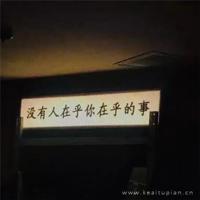 没有爱情,我宁愿孤独终老