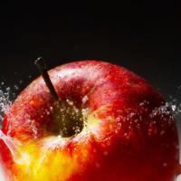 让人心静的一句禅语句子,禅语句子