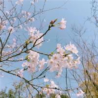 比健身更重要的,是健心