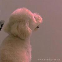 关于水的人生感悟