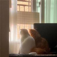 搞笑幽默的朋友圈经典说说大全