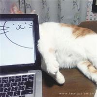 想要问问你敢不敢