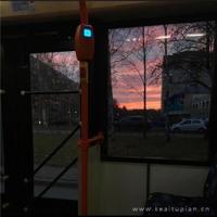 我若开花，绝不开在尘埃里