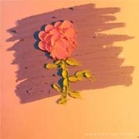 你下辈子就交给我吧