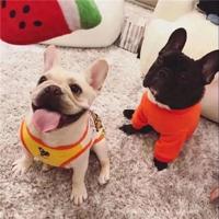 我很漂亮,只不过长得有点丑