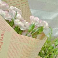 给里的写手一点小建议散文