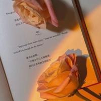 红尘烟火,迷乱了谁的眼眸
