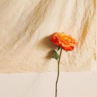 80后小夫妻离婚后的30天