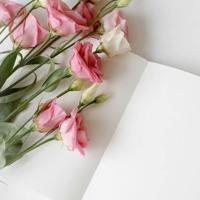 婚姻的角度决定幸福的高度