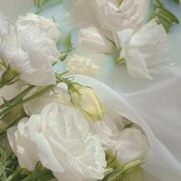 女人美丽自信早安短语大全_早安短语