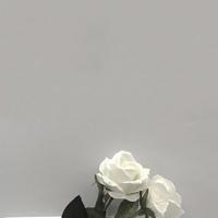 美妇厨房双飞 被按摩的人妻中文字幕