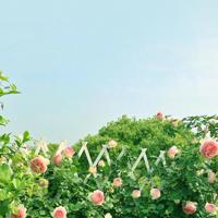 管理就像带军队，规则最重要