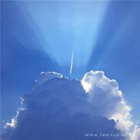 我要偷走你的生命