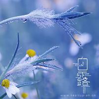 在这里爱你,日复一日,年复一年