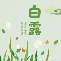 口述：26个小时辗转回国的提心吊胆，落地上海后