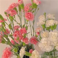 那失落的爱情素描