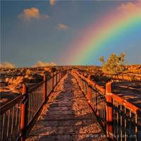 一句话的经典幽默100条