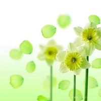 千万不必假装过得很好,因为没有多少人在乎。