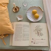 我的梦想家太太