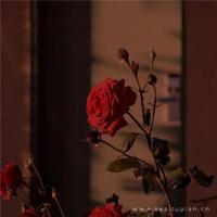 一句心里好压抑的句子,压抑短句