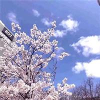 经典美文摘抄欣赏600字