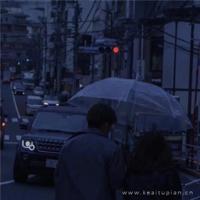 北京爱情故事林夏语录