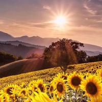 买书与读书散文