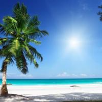 我和两个女领导玩双飞 对着镜子双腿张开 揉核h