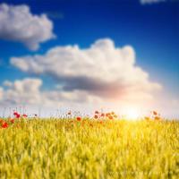 正能量的句子经典语句,超励志