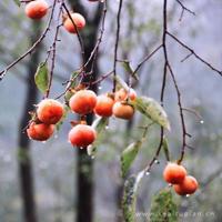 人生是一场苦旅，我们一边感受，一边修行。