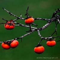 写给未来的儿子和女儿