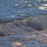 (校园爱情文章)爱情没有天道酬勤