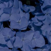 人到中年，这样的情感不要去继续